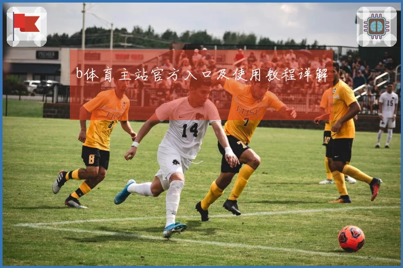 b体育主站官方入口及使用教程详解