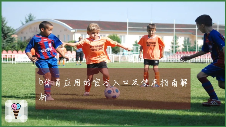 b体育应用的官方入口及使用指南解析