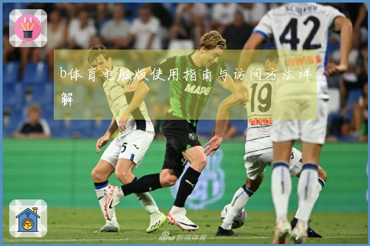 b体育电脑版使用指南与访问方法详解