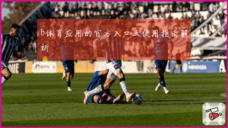 b体育应用的官方入口及使用指南解析