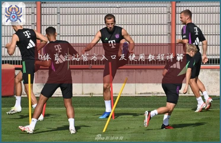 b体育主站官方入口及使用教程详解