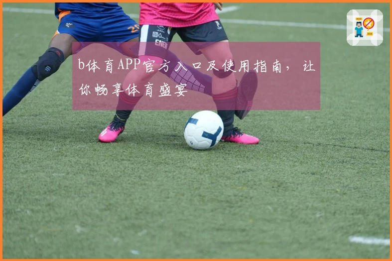 b体育APP官方入口及使用指南,让你畅享体育盛宴