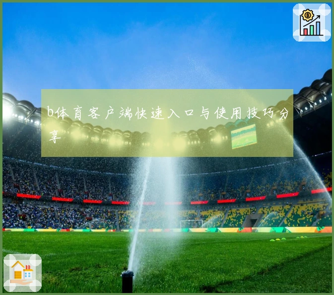 b体育客户端快速入口与使用技巧分享