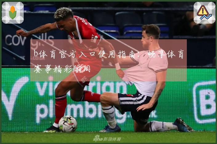 b体育官方入口使用指南:畅享体育赛事精彩瞬间