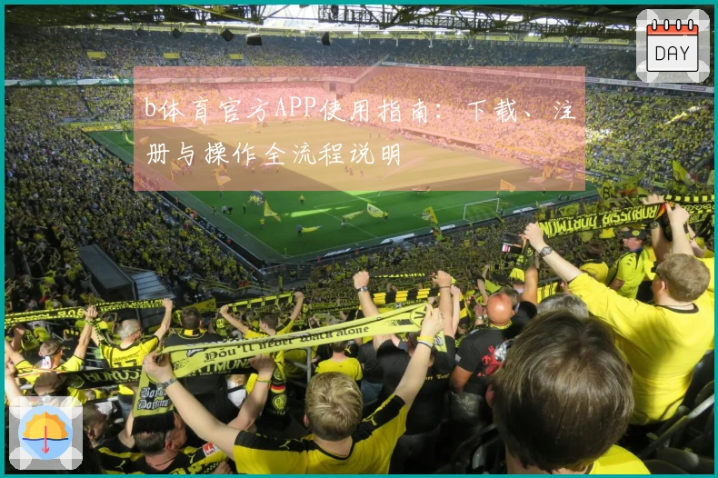 b体育官方APP使用指南：下载、注册与操作全流程说明