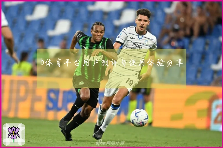 b体育平台用户测评与使用体验分享